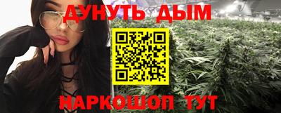 дмт Бийск