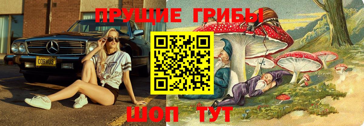 Псилоцибиновые грибы MAGIC MUSHROOMS  Вход с VPN  Губкин 