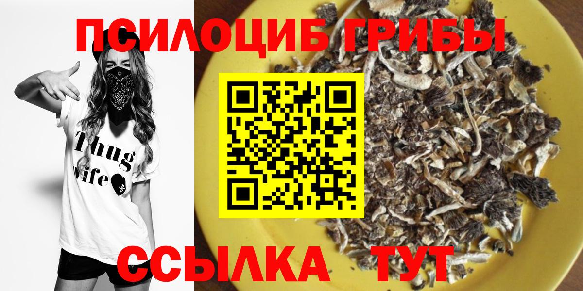 Псилоцибиновые грибы GOLDEN TEACHER Губкин